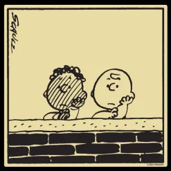 Super7 Peanuts Franklin Long Sleeve Black Pullover Hoodie| Peanuts